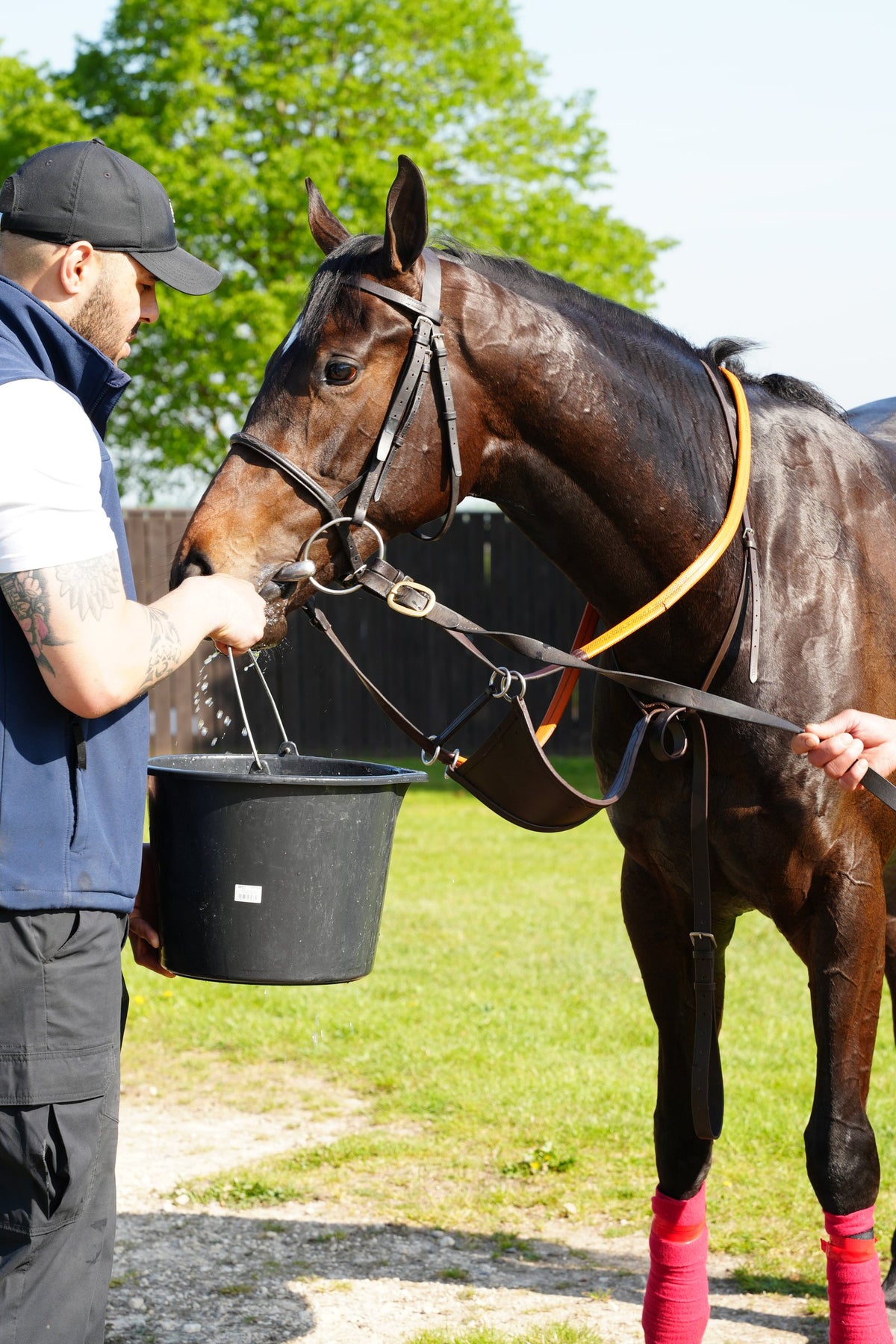 Groom washing down a racehorse
