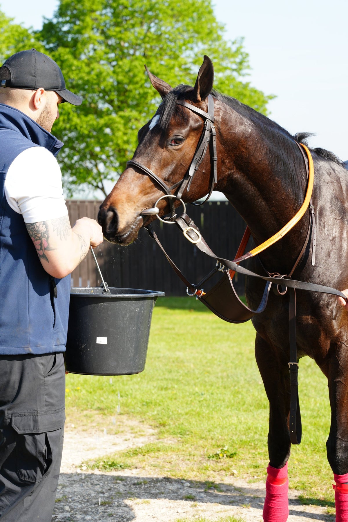 Groom and racehorse after work